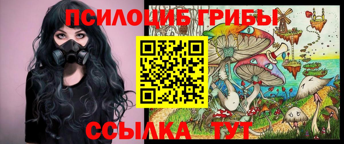 где можно купить наркотик  Вход с VPN  Костомукша  Галлюциногенные грибы Magic Shrooms  Псилоцибиновые грибы Magic Shrooms 