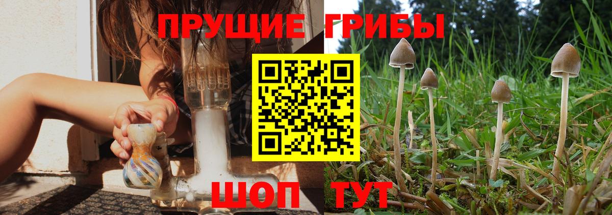 Псилоцибиновые грибы прущие грибы Костомукша